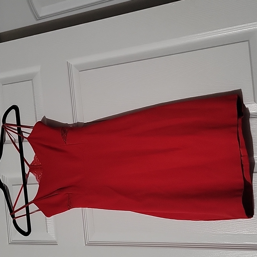 EXPRESS dress